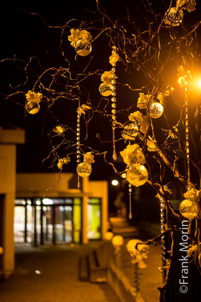 Boules de verres accrochées sur une branche pour décorer l'extérieur de la salle